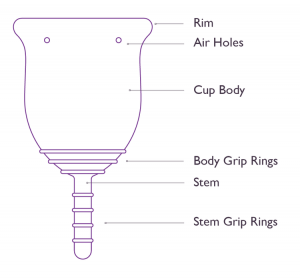 Anatomy of a menstrual cup