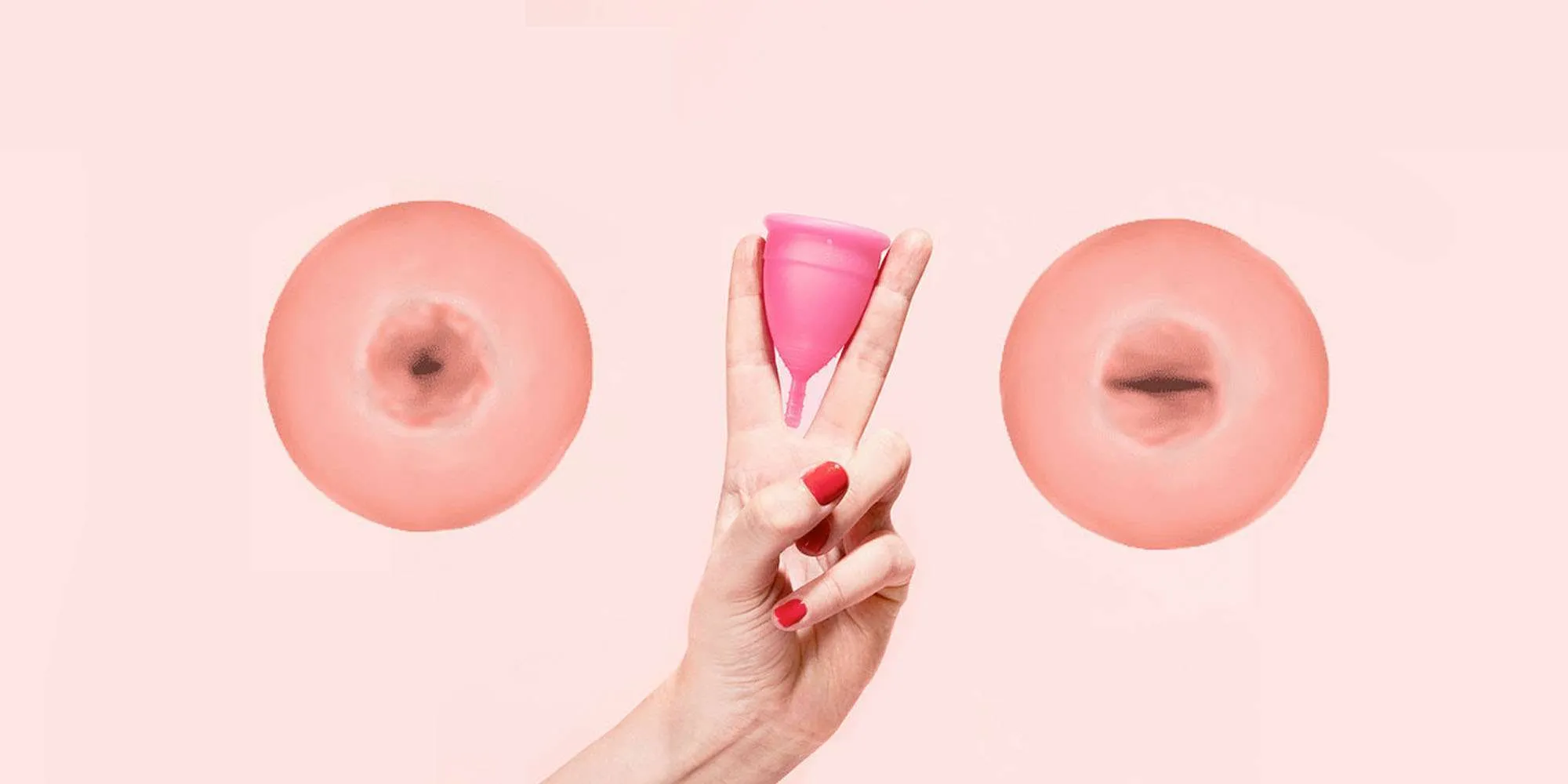 menstrual cups and cervix high short 2