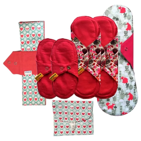 Dharwad Cloth Pads 6pcs with pouch 1